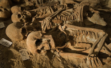 Tömegsírokat találtak meg Salvadorban