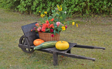 Kis önellátó önkormányzati gazdaság Rábaszentmiklóson