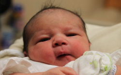 Böjtös Boglárka Dóra