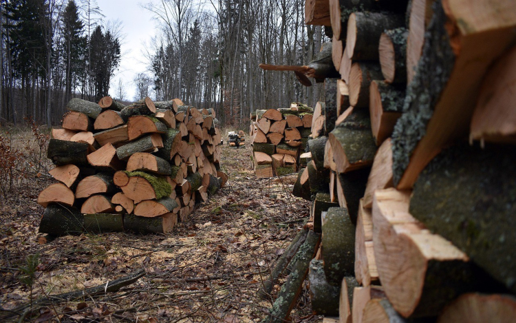 Tizenhárom éve jelenti az otthon melegét