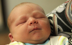 Bubernik-Soltész Bálint