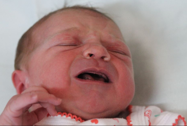 Horváth Lilla Barbara 