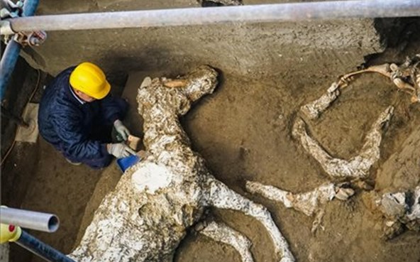 Ritka leletre bukkantak Pompejiben 