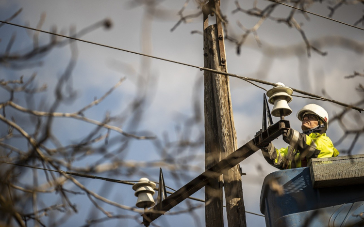 Madárbarát villanyoszlopok