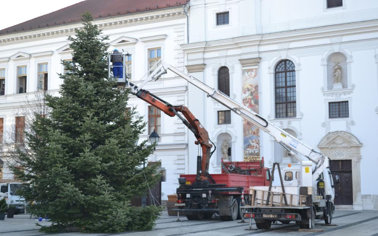 A város karácsonyfája