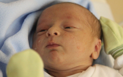 Hemperger Máté András 