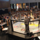 2015.05.09. Profi MMA Gála fotók:árpika