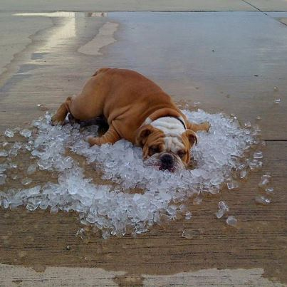 Elsőfokú figyelmeztetés a hőség miatt Győr-Moson-Sopron megyére