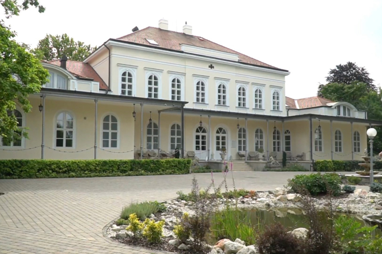 II. Őszi Nagy Jótékonysági Aukció