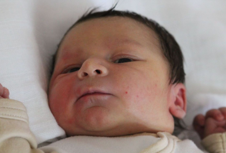 Mészáros Barnabás 