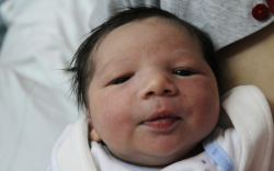 Lakatos Rajmond Anzseló