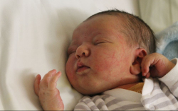 Hornyák Bence Ferenc 