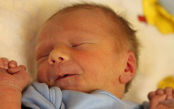 Homolya Levente Péter