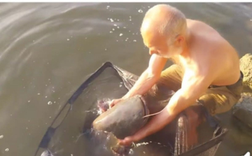 Harcsamentés a kubikgödörből (VIDEÓ)