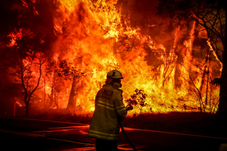 Zárva maradt az Ausztrál Nemzeti Galéria, hogy megóvja a festményeket a füsttől