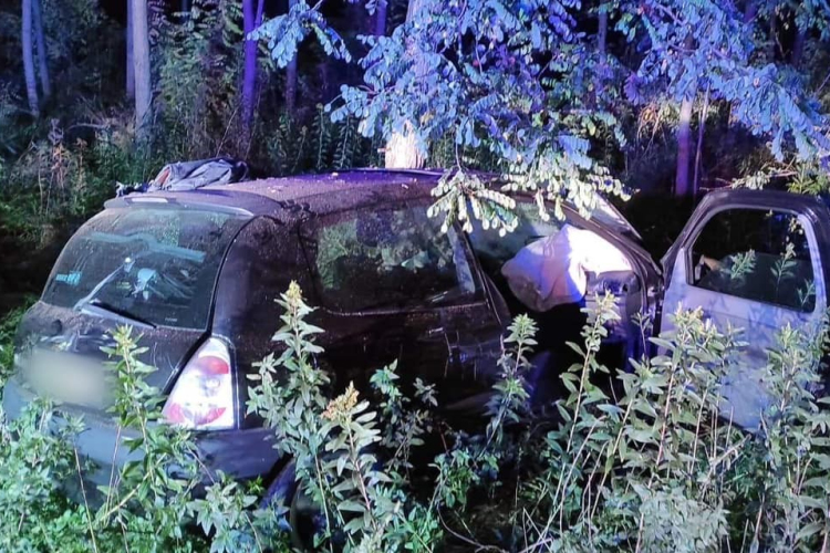 Jogosítvány nélkül vezetett