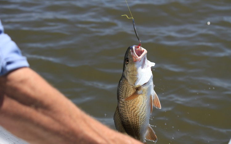 Pecások figyelem! Csekkoljátok az igazolványt, lehet, hogy lejárt az érvényessége