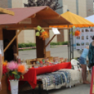 2013.06.22 Szombat SzFeszt 3.nap Fotók:árpika