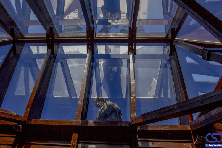 5 éve indult az angyalkeresés Győrben 