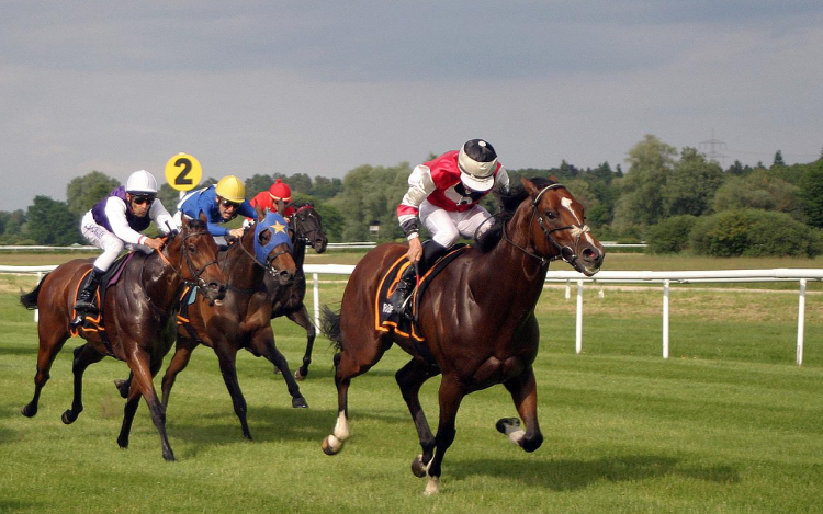 Érdekességek a lóverseny fogadás világából