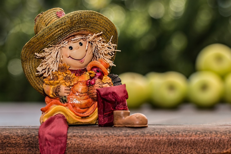 Kerti munkák ősszel - mit tanácsol a szakember?