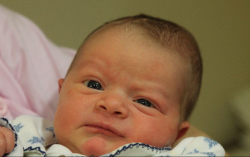 Berkes Nimród Lajos 