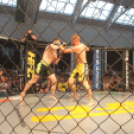 2015.05.09. Profi MMA Gála fotók:árpika