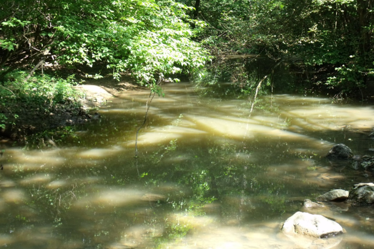 Holttestet találtak Sopronban, az Ikva patakban ( Frissítve )