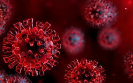 300-ra emelkedett a beazonosított koronavírus-fertőzöttek száma és 34-re a gyógyultaké
