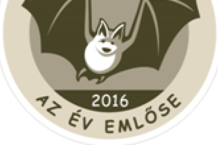 A denevér megmentése és népszerűsítése a Vadonleső sorozat célja