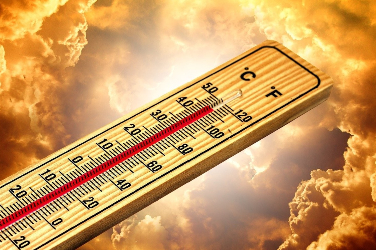 Másodfokú hőségriasztást rendeltek el a hét elejére