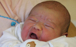 Balázs-Józsa Olivér 