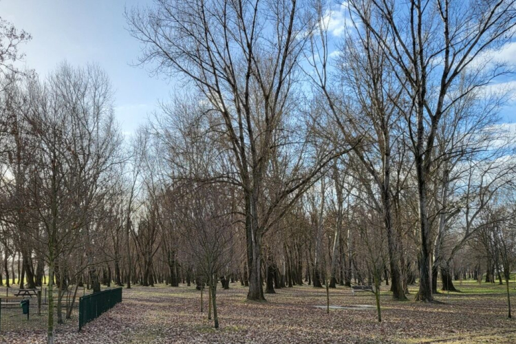 Lezárult a szavazás Marcalvárosban