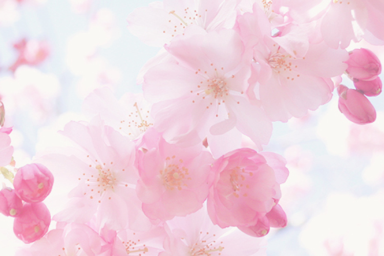 Itt a tavasz - Napsütéses idő lesz a héten 