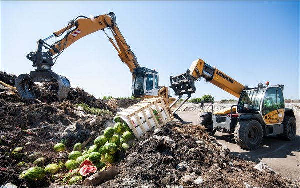 Jelöletlen görögdinnyéket semmisítettek meg Győrben