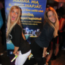 2014.11.06 Mamma Mia Szingli Party Dj:Balage & Solymi Konga Fotó:árpika