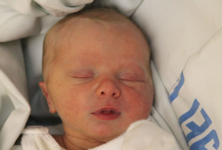 Gergely Bercel Péter 