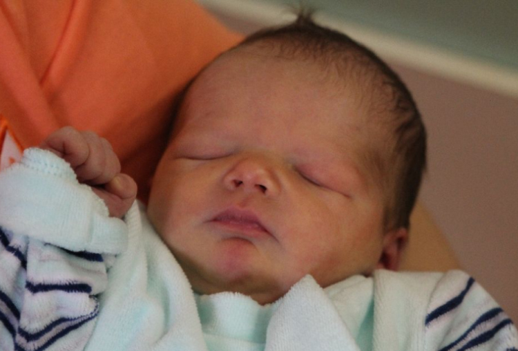 Hancz Dominik Dániel 