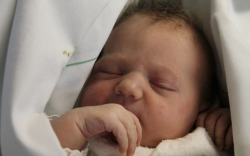 Sződi Jázmin Angyalka