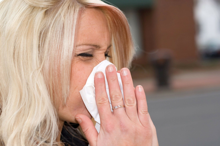 Győri pollenhelyzet: aki a fenyőfélékre érzékeny, nehéz napokra számíthat