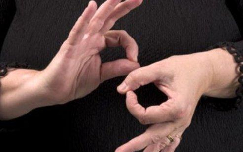 Közös nemzetközi konferenciát tartott a SINOSZ és a  WFD