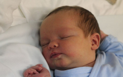 Horváth Gábor János 