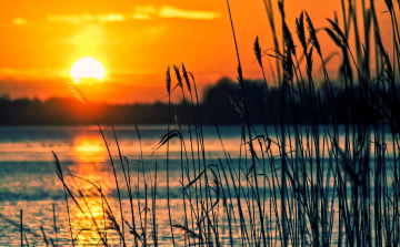 Meleg és száraz volt a tavalyi év