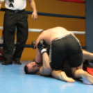 2013.02.16.Szombat Profi MMA És Box Mérkőzés Fotók:árpika