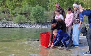 Kecsegetelepítés iskolásokkal