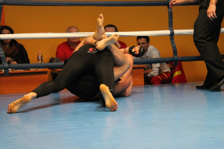 2013.02.16.Szombat Profi MMA És Box Mérkőzés Fotók:árpika