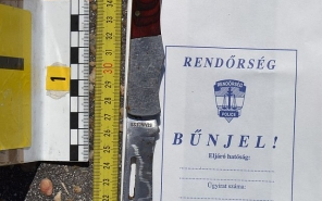 Késsel fenyegetőzve rabolt egy 13 éves gyerek