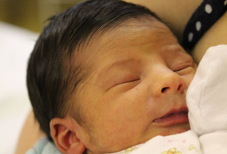 Algács Benett Olivér 