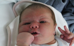 Csóbor Lili Erzsébet