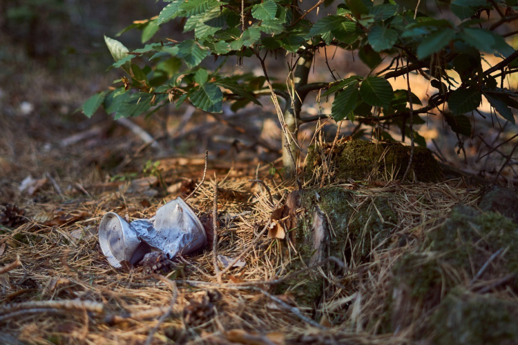 Erdőtisztító kihívást indítanak országszerte